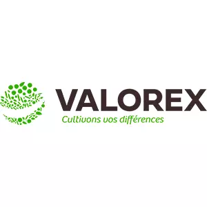 logo-valorex